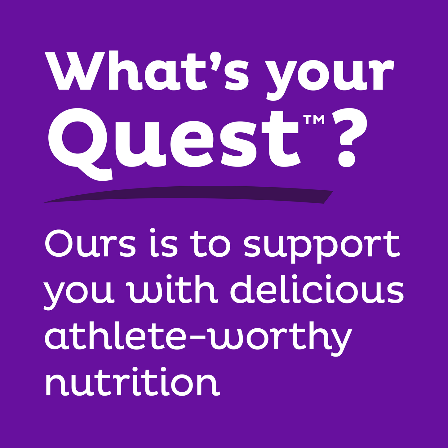 double-chocolate-chunk-protein-bars-q5 qst-000241_double-chocolate-chunk-protein-bars_9.png
